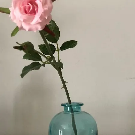 Casa Santa Maria La Nueva Con Aire Acondicionado Appartement *