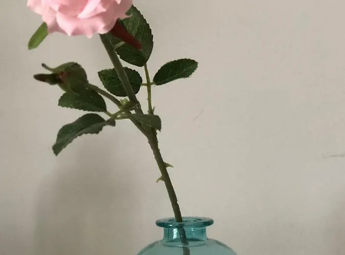 Casa Santa Maria La Nueva Con Aire Acondicionado Appartement *